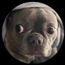 Tony's profile picture