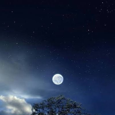 2_a71234's profile picture
