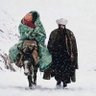 شّّّاهِِِيْنْ profil fotoğrafı