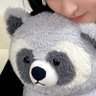 桃テリー profil fotoğrafı