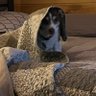 Jack 🦴afide 🇨🇦🇬🇱🇺🇦's profile picture