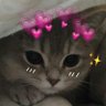 hugz profil fotoğrafı