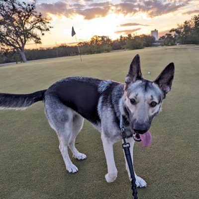 Brock 💣's profile picture