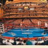 Фото профиля CompuBox