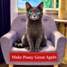 Фото профиля CatsingCouch