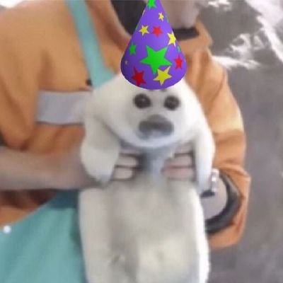 226w6_'s profile picture