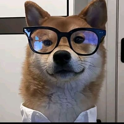 jiuchen1013's profile picture