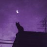 BloodWine ๐๐'s profile picture