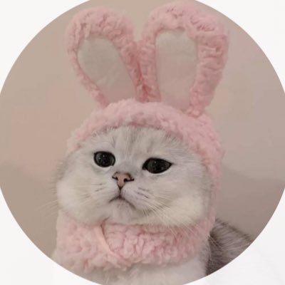 Zona🐍(本人唯一帳號's profile picture