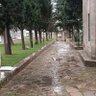 Фото профиля Ahmet Uzun