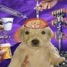 Profilbild von jarvis clipea eso