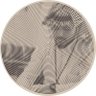 عبدالمجيد's profile picture