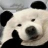 蘑菇 profil fotoğrafı