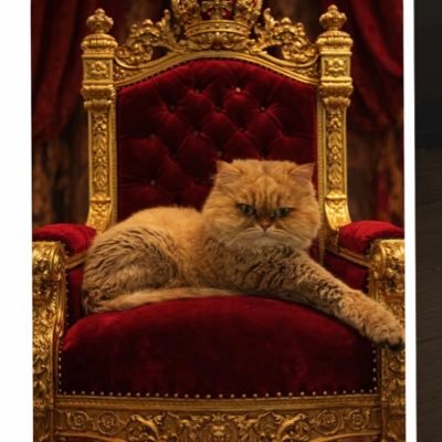 YildizzTilbee's profile picture