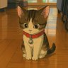 DvCS's profile picture