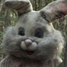 Profilbild von bunni