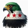 دمشقي الهوى's profile picture