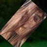 Gardenia's profile picture