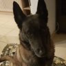 Kiki_3231 profil fotoğrafı