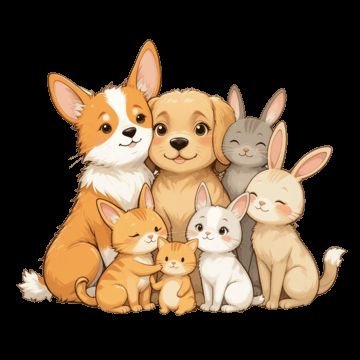 ZhondongRuo's profile picture