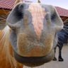 mori profil fotoğrafı