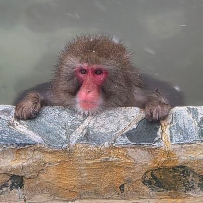 mm's profile picture