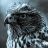 Profilbild von .