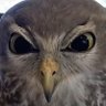kay's profile picture