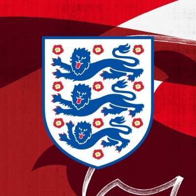 Lionesses's profile picture