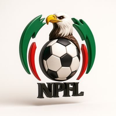 NigeriaPFL's profile picture