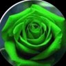 سلام 🇸🇦💚🇸🇦 profil fotoğrafı