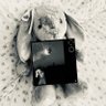 Bunny 的头像