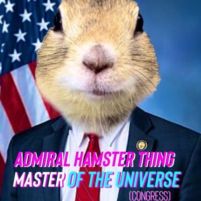 Admiral Invalidator's profile picture