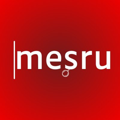 Meşru's profile picture