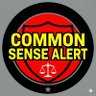 MinistryOfCommonSense's profile picture