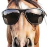 Andy's profile picture