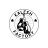 Фото профиля Kalesh factory