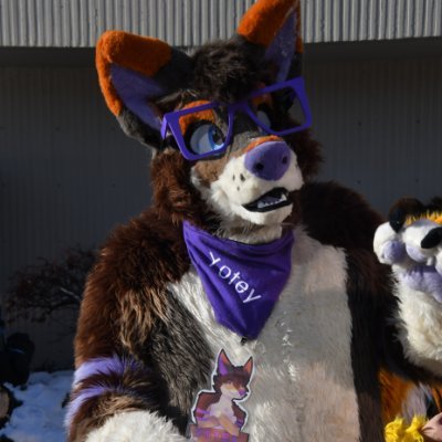 Yotey Coyote 🔜 EuroFurence's profile picture