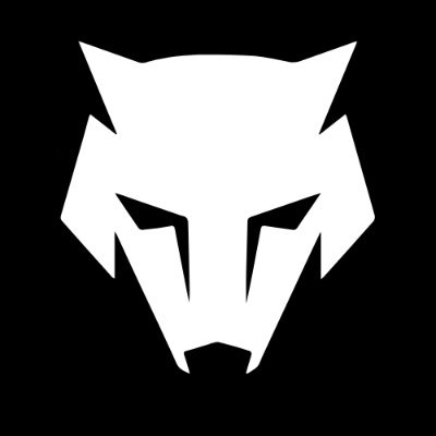 Ech0's profile picture