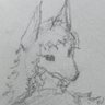 Фото профиля JaydonDraws