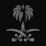 • رائد || 🇸🇦 • RAED's profile picture