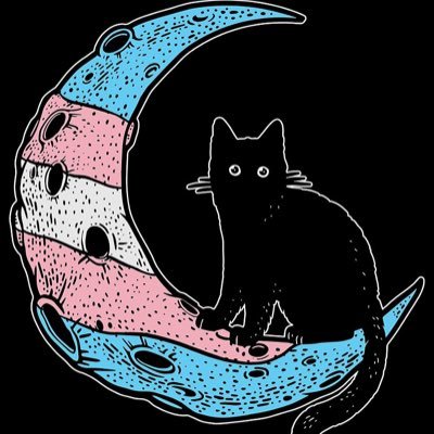 Nightowl 🏳️‍⚧️'s profile picture