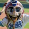 Profilbild von Okc vomits