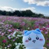 のののの profil fotoğrafı