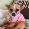 Belle Lee profil fotoğrafı