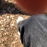 Фото профиля SPR final unticle Walking ＊GPAlleyes