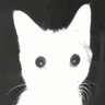 jamie's profile picture
