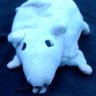 Profilbild von the anime mouse