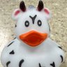 RabidDuckus 的头像