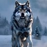Profilbild von Abner